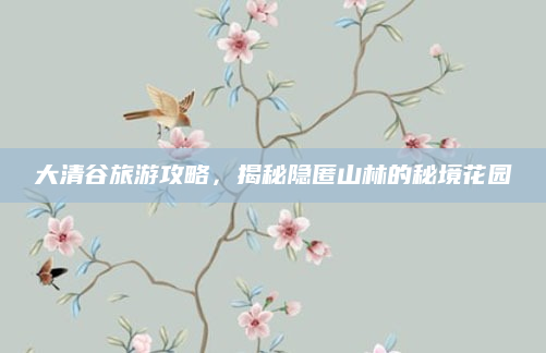 大清谷旅游攻略,揭秘隐匿山林的秘境花园
