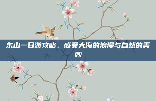东山一日游攻略,感受大海的浪漫与自然的美妙