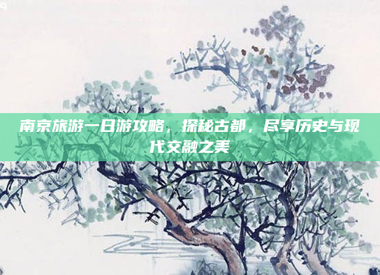 南京旅游一日游攻略，探秘古都，尽享历史与现代交融之美