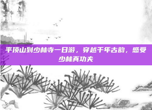平顶山到少林寺一日游，穿越千年古韵，感受少林真功夫