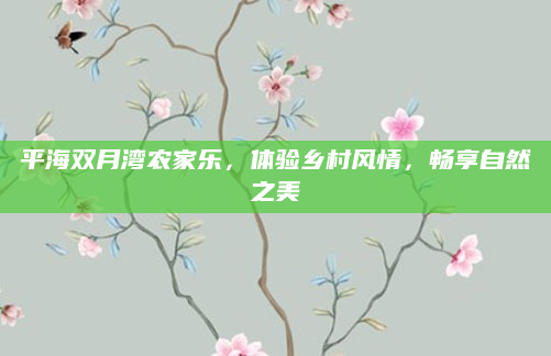 平海双月湾农家乐，体验乡村风情，畅享自然之美