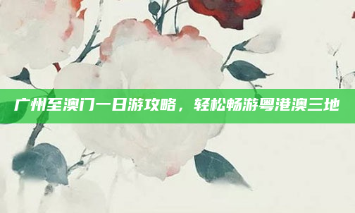 广州至澳门一日游攻略,轻松畅游粤港澳三地