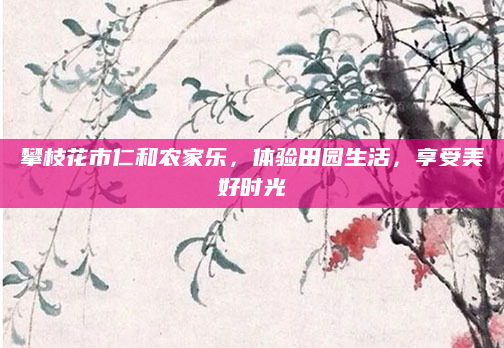 攀枝花市仁和农家乐，体验田园生活，享受美好时光