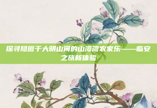 探寻隐匿于大明山间的山湾湾农家乐——临安之旅新体验