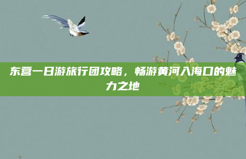 东营一日游旅行团攻略，畅游黄河入海口的魅力之地
