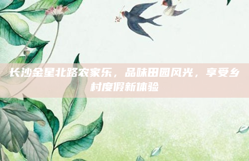 长沙金星北路农家乐,品味田园风光,享受乡村度假新体验