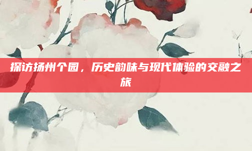 探访扬州个园，历史韵味与现代体验的交融之旅