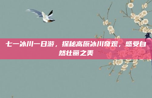 七一冰川一日游,探秘高原冰川奇观,感受自然壮丽之美