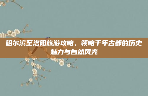 哈尔滨至洛阳旅游攻略,领略千年古都的历史魅力与自然风光