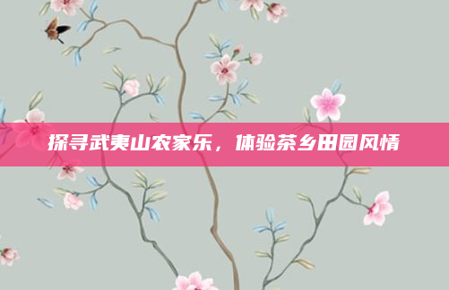 探寻武夷山农家乐,体验茶乡田园风情