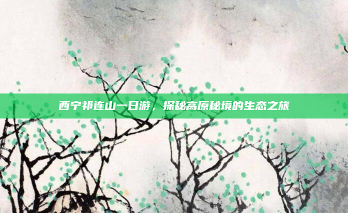西宁祁连山一日游,探秘高原秘境的生态之旅