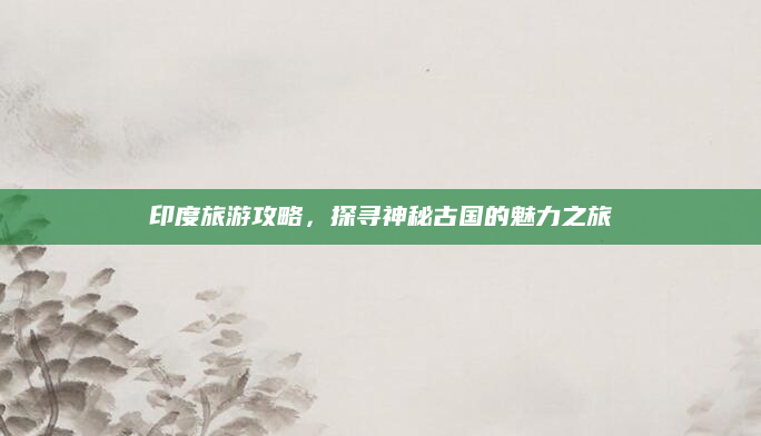 印度旅游攻略,探寻神秘古国的魅力之旅