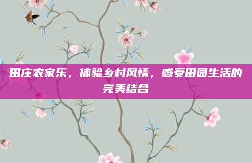 田庄农家乐,体验乡村风情,感受田园生活的完美结合
