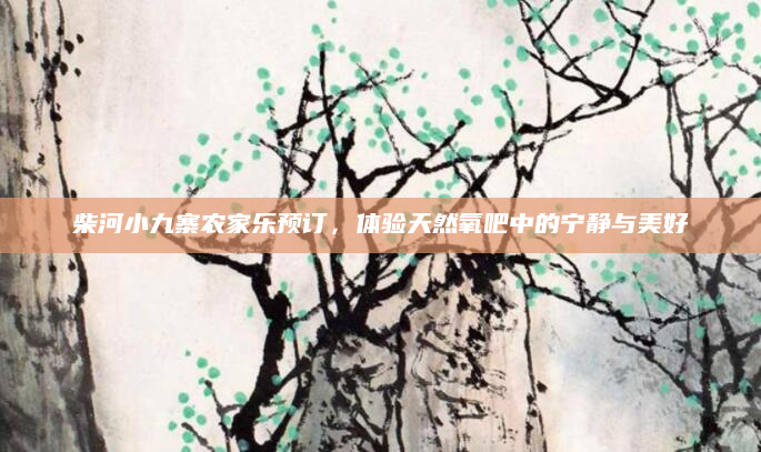 柴河小九寨农家乐预订,体验天然氧吧中的宁静与美好