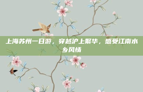 上海苏州一日游,穿越沪上繁华,感受江南水乡风情