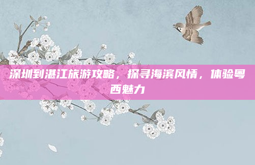 深圳到湛江旅游攻略,探寻海滨风情,体验粤西魅力