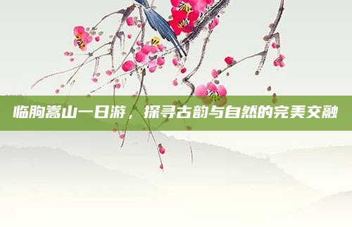 临朐嵩山一日游,探寻古韵与自然的完美交融