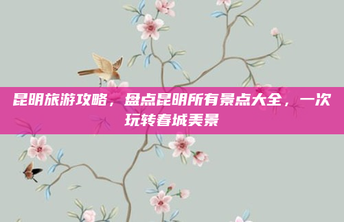 昆明旅游攻略，盘点昆明所有景点大全，一次玩转春城美景