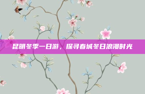 昆明冬季一日游，探寻春城冬日浪漫时光