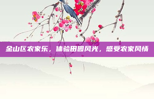金山区农家乐,体验田园风光,感受农家风情