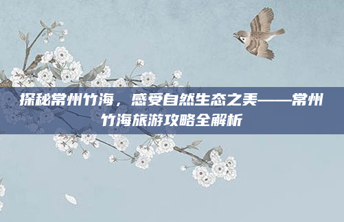 探秘常州竹海,感受自然生态之美——常州竹海旅游攻略全解析