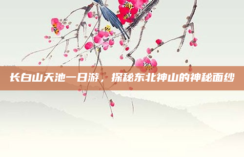 长白山天池一日游，探秘东北神山的神秘面纱