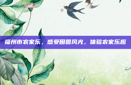 福州市农家乐,感受田园风光,体验农家乐趣