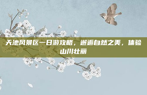 天池风景区一日游攻略,邂逅自然之美,体验山川壮丽