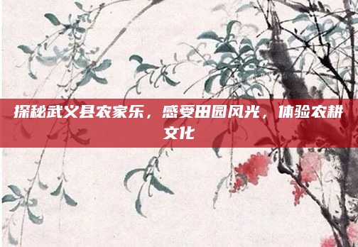 探秘武义县农家乐,感受田园风光,体验农耕文化