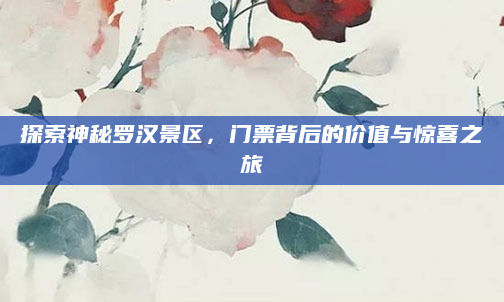 探索神秘罗汉景区,门票背后的价值与惊喜之旅