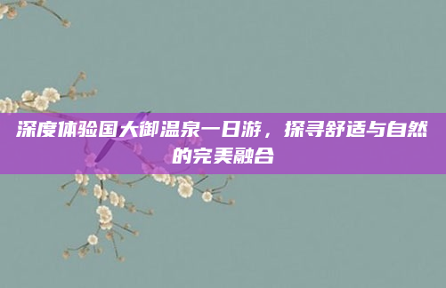 深度体验国大御温泉一日游,探寻舒适与自然的完美融合