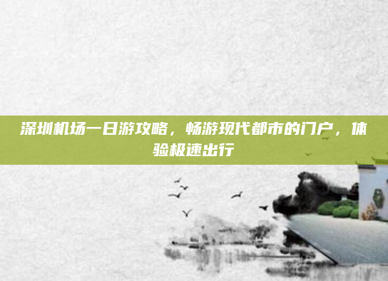 深圳机场一日游攻略,畅游现代都市的门户,体验极速出行