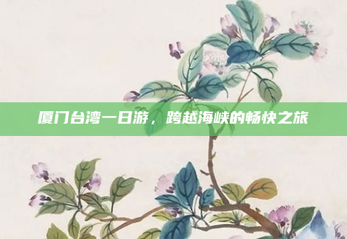 厦门台湾一日游,跨越海峡的畅快之旅