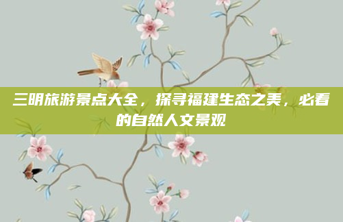 三明旅游景点大全,探寻福建生态之美,必看的自然人文景观