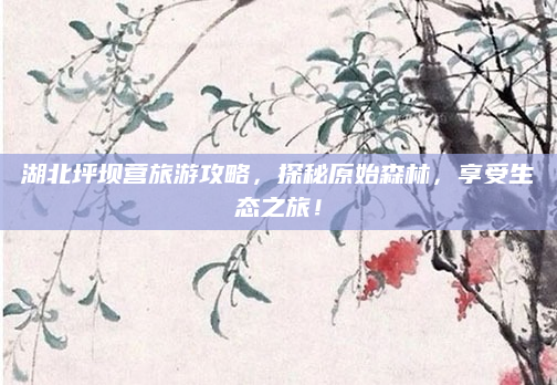 湖北坪坝营旅游攻略,探秘原始森林,享受生态之旅!