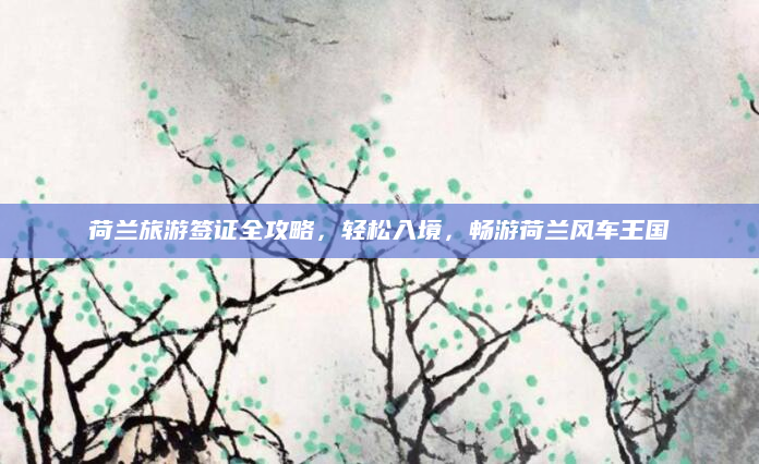 荷兰旅游签证全攻略,轻松入境,畅游荷兰风车王国