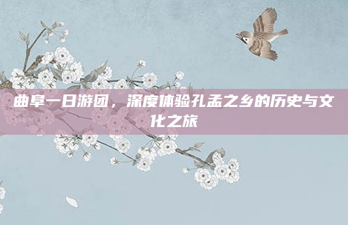 曲阜一日游团,深度体验孔孟之乡的历史与文化之旅
