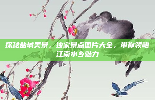 探秘盐城美景，独家景点图片大全，带你领略江南水乡魅力