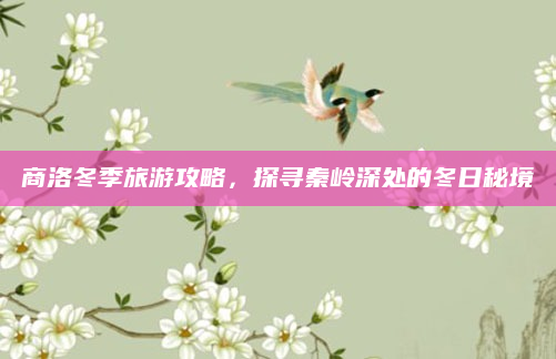 商洛冬季旅游攻略,探寻秦岭深处的冬日秘境