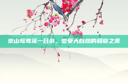 京山鸳鸯溪一日游,感受大自然的和谐之美