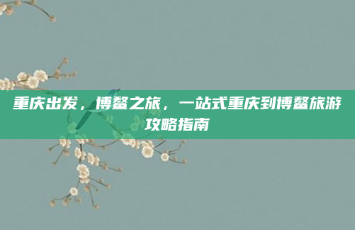 重庆出发,博鳌之旅,一站式重庆到博鳌旅游攻略指南