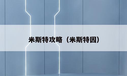 米斯特攻略（米斯特因）