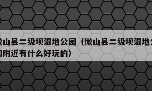 微山县二级坝湿地公园（微山县二级坝湿地公园附近有什么好玩的）