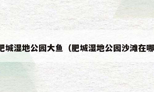 肥城湿地公园大鱼（肥城湿地公园沙滩在哪）
