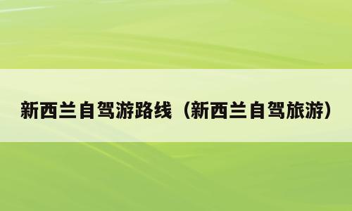 新西兰自驾游路线（新西兰自驾旅游）