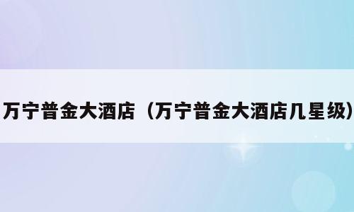 万宁普金大酒店（万宁普金大酒店几星级）