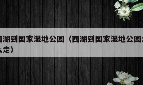 西湖到国家湿地公园（西湖到国家湿地公园怎么走）