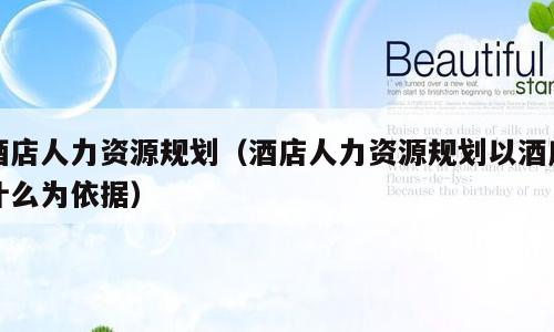 酒店人力资源规划（酒店人力资源规划以酒店什么为依据）