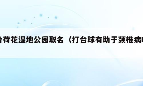 给荷花湿地公园取名（打台球有助于颈椎病吗）