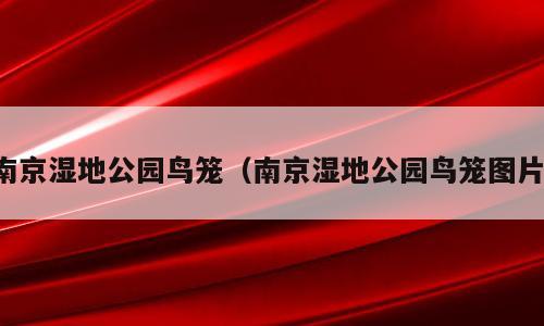 南京湿地公园鸟笼（南京湿地公园鸟笼图片）